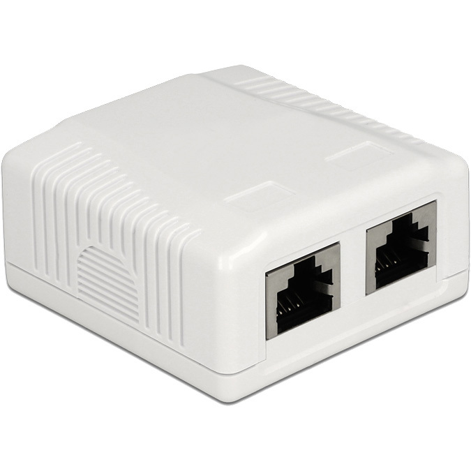 DeLOCK Network Wall Outlet 2 Port Cat.6A LSA montagedoos