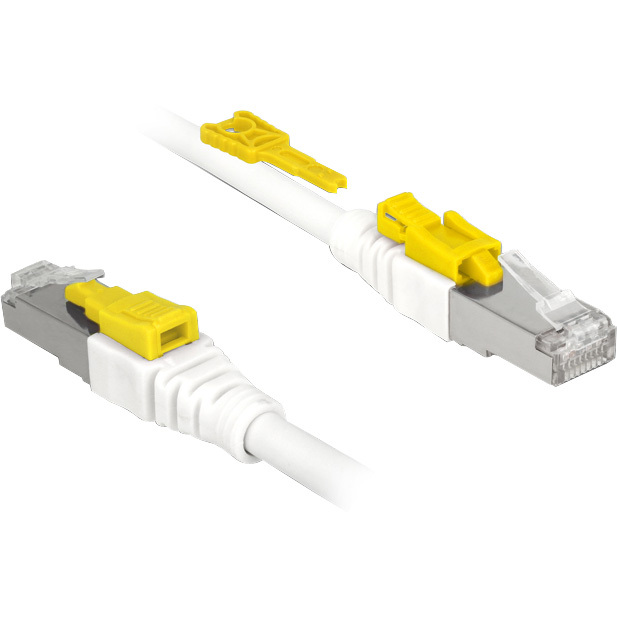 DeLOCK Patchkabel RJ-45 Secure met Cat.6a