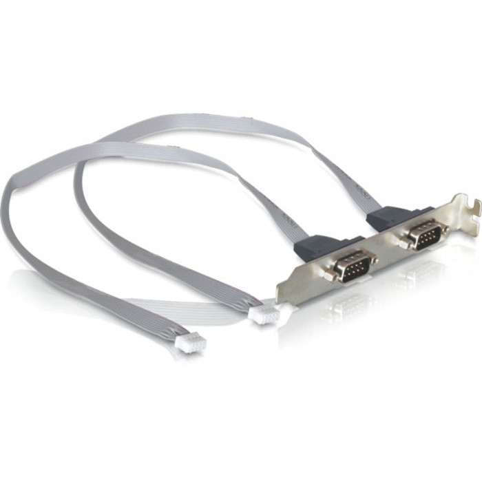 DeLOCK Slot bracket 2x Serieel controller