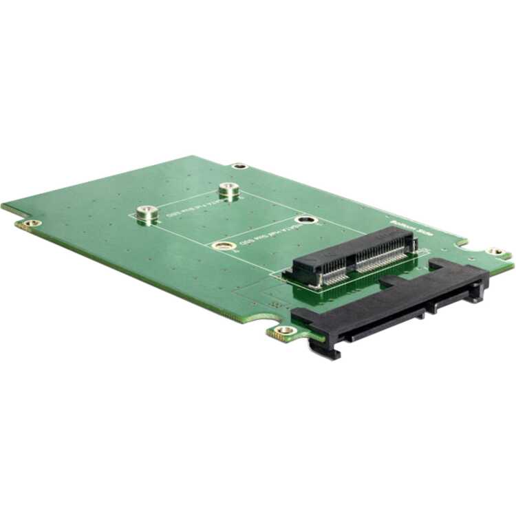 DeLOCK Converter SATA 22Pin -> mSATA 2,5" inbouwframe