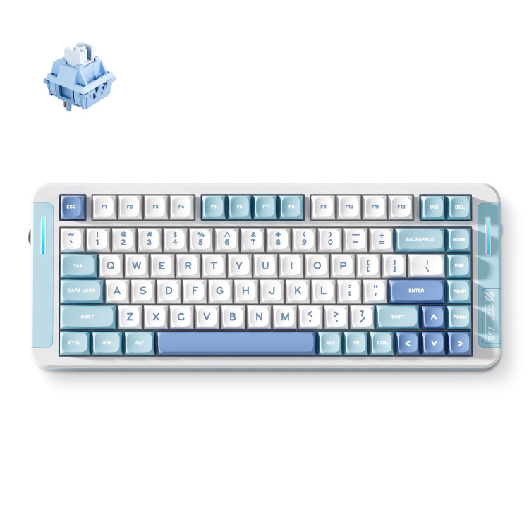 MCHOSE X75 V2 Blue Whale Sea Custom Mechanical toetsenbord