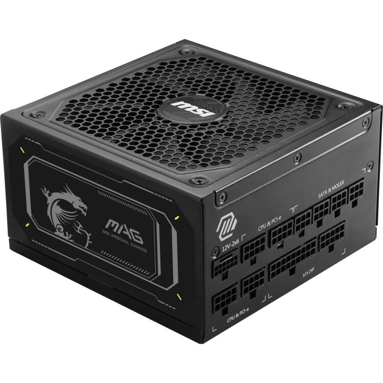 MSI MAG A1000GL PCIE5 II voeding