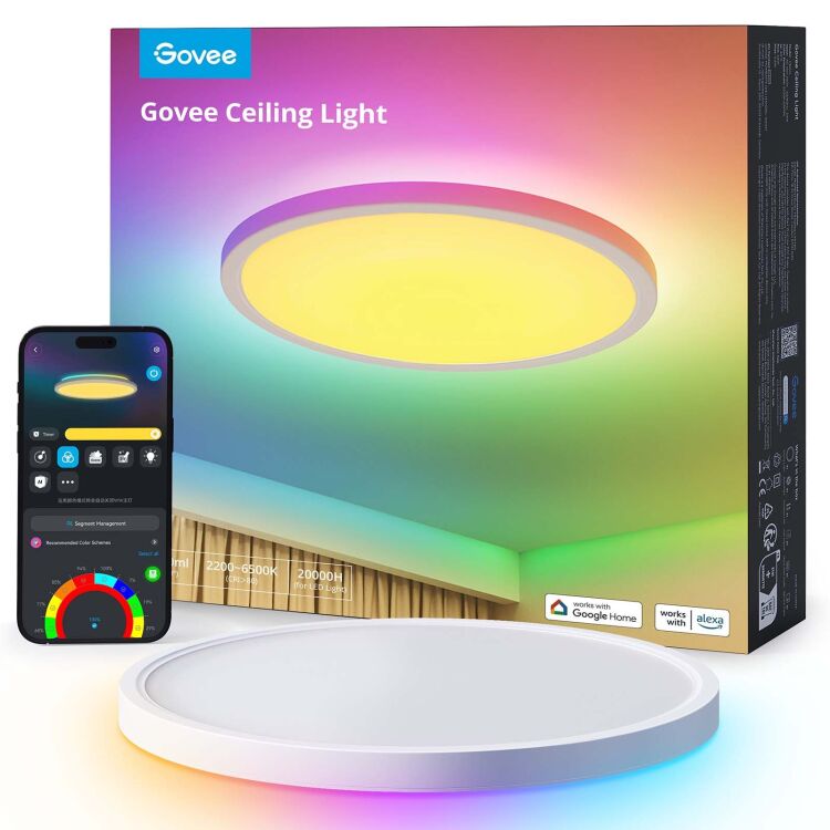 Govee Ceiling Light lamp