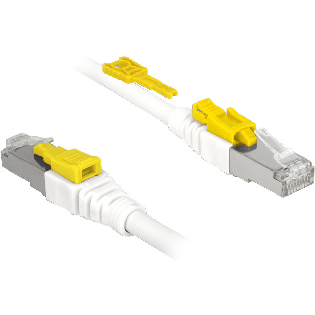 DeLOCK Patchkabel RJ-45 Secure met Cat.6a