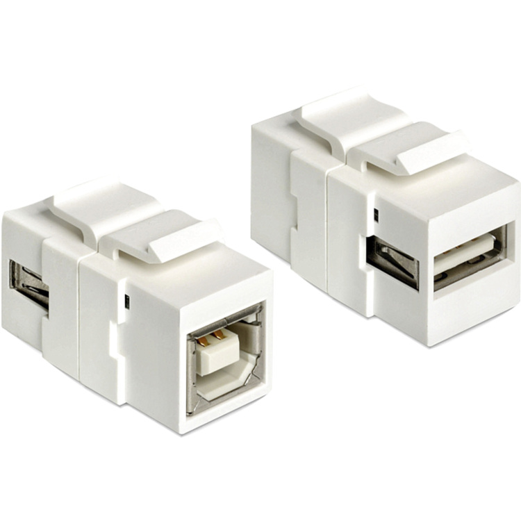DeLOCK Keystone Module USB 2.0 A naar USB 2.0 B aansluiting