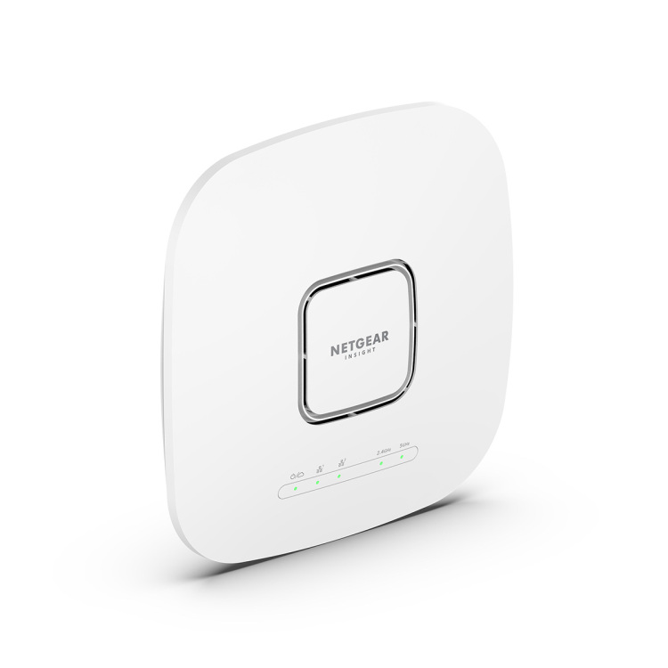 Netgear WAX625-100EUS access point