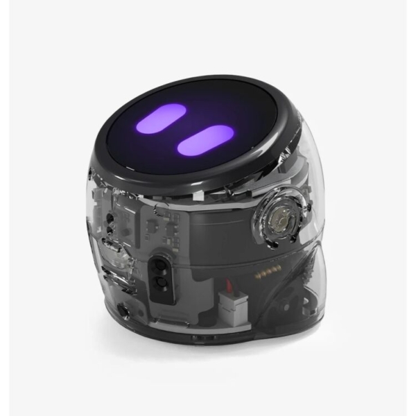 Ozobot Ari Entry Kit robot