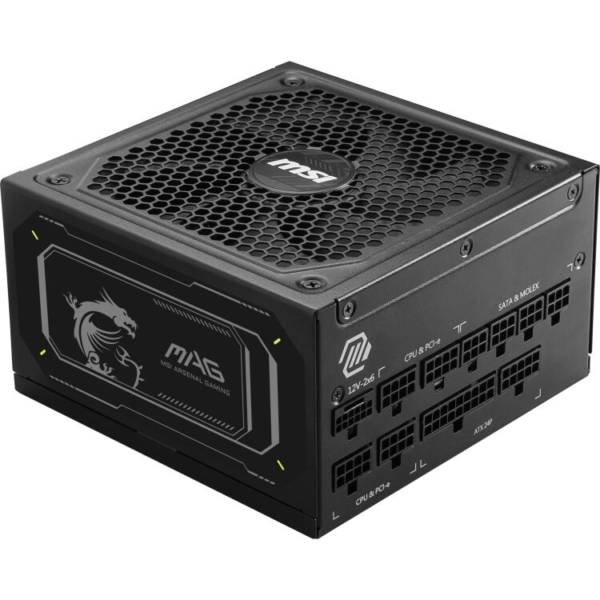 MSI MAG A1000GL PCIE5 II voeding