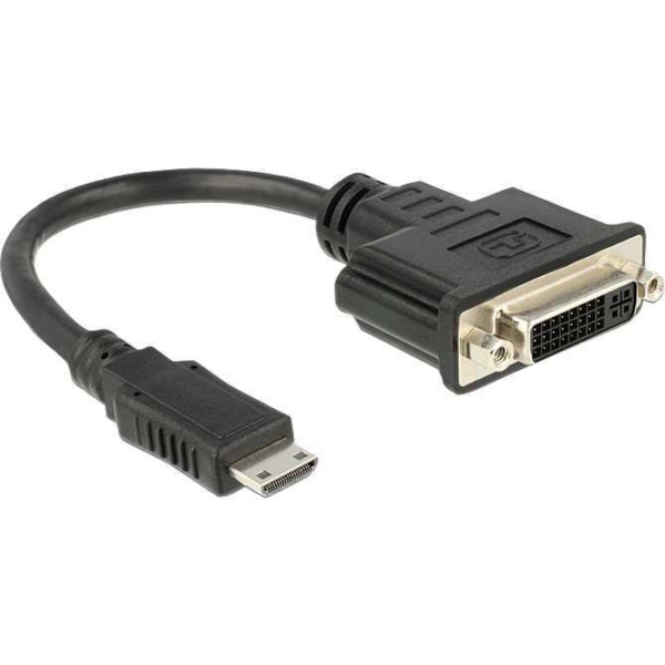 DeLOCK Mini HDMI > DVI-D adapter