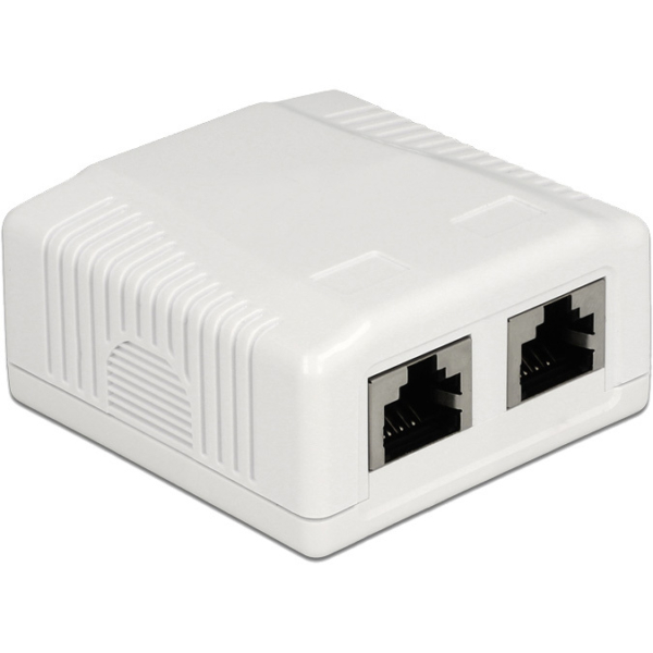 DeLOCK Network Wall Outlet 2 Port Cat.6A LSA montagedoos