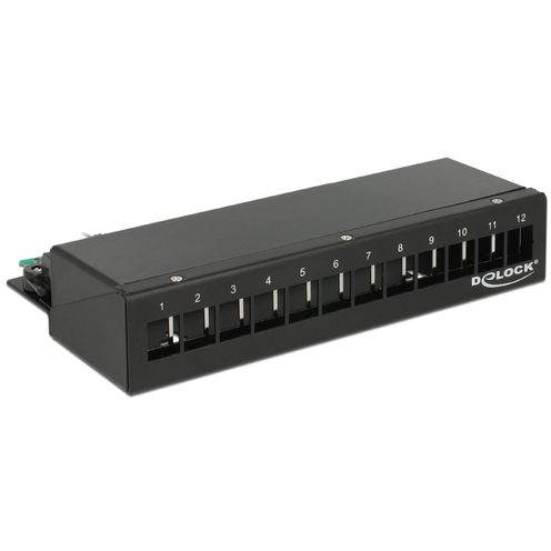 DeLOCK Keystone Desktop Patch Panel 12 Port patchpaneel