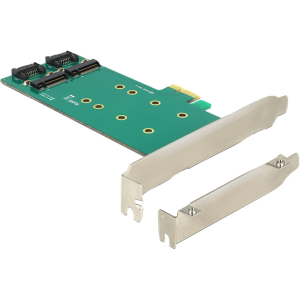 DeLOCK PCI Express Card > 2 x internal M.2 Key B 110 mm - Low Profile Form Factor adapter