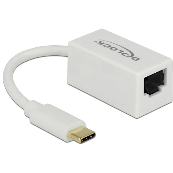 DeLOCK SuperSpeed USB-C (USB 3.1 Gen 1) male > Gigabit LAN 10/100/1000 Mbps compact adapter