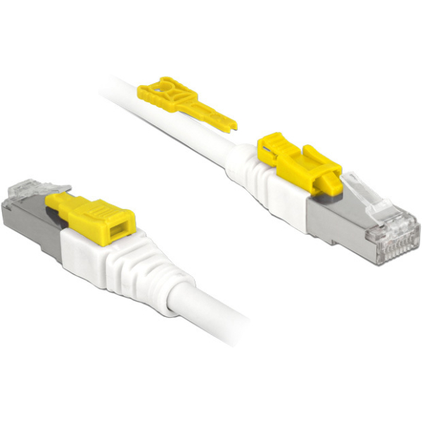 DeLOCK Patchkabel RJ-45 Secure met Cat.6a