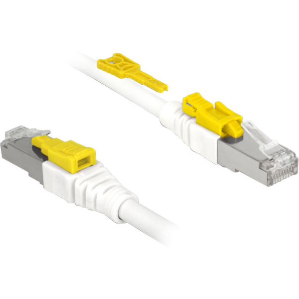 DeLOCK Patchkabel S/STP, RJ-45 Secure met Cat.6a