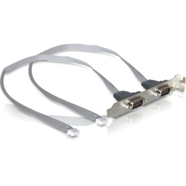 DeLOCK Slot bracket 2x Serieel controller