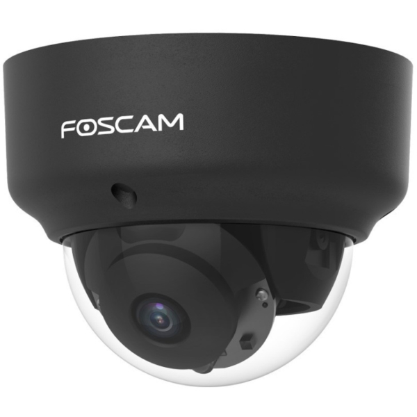 Foscam D2EP beveiligingscamera