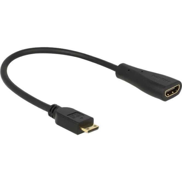 DeLOCK Mini HDMI C > HDMI A adapter