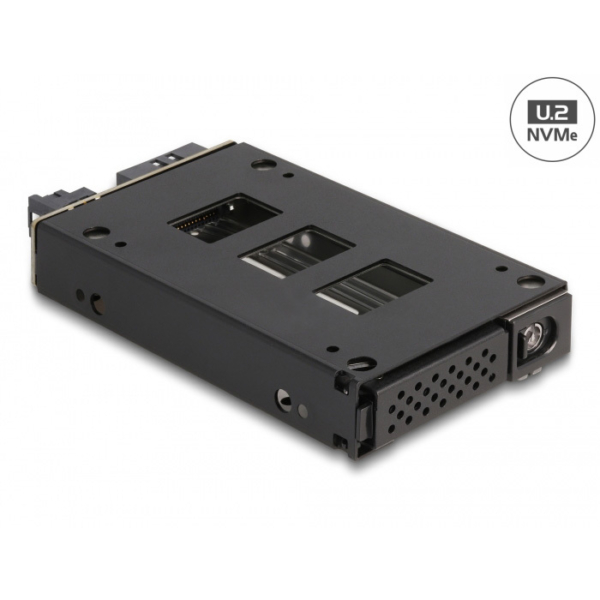 DeLOCK Slim Bay Mobile Rack for 1 x 2.5" U.2 NVMe SSD wisselframe